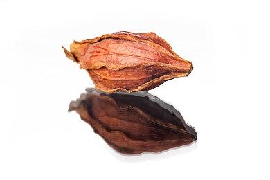 模拟经营游戏《酒馆好时光》8月29日推出抢先体验版 支持中文